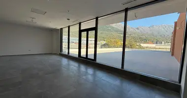 Apartamento 1 habitacion con aparcamiento en Radanovici, Montenegro