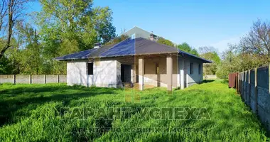 House in Telminski sielski Saviet, Belarus