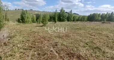 Terrain dans Novolikeevskiy selsovet, Fédération de Russie