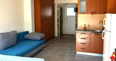 1 bedroom apartment in Potamia, Greece