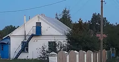 House in Studenki, Belarus