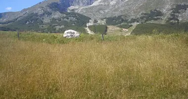 Grundstück in Zabljak, Montenegro