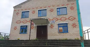 Propriété commerciale 378 m² dans Alchoucy, Bélarus