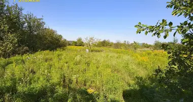 Plot of land in Scomyslicki sielski Saviet, Belarus