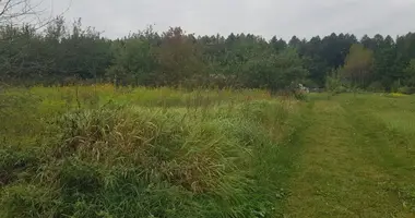 Plot of land in Scomyslicki sielski Saviet, Belarus