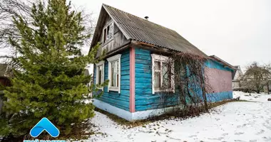 Dom w Barscouski sielski Saviet, Białoruś