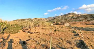 Plot of land in District of Sitia, Greece