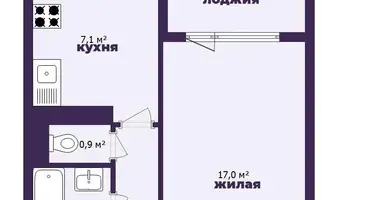 1 room apartment in Minsk, Belarus