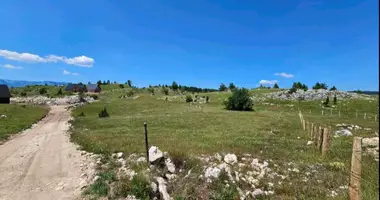 Terrain dans Zabljak, Monténégro