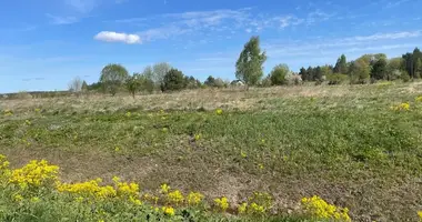 Grundstück in Benkartai, Litauen