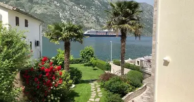 Dom 7 pokojów w Kotor, Czarnogóra