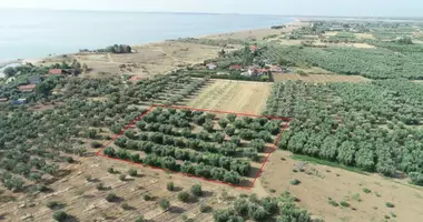 Plot of land in Agios Mamas, Greece