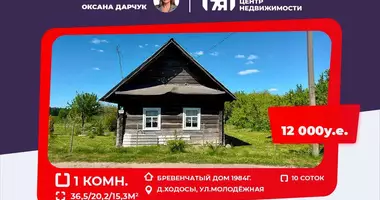 Haus in Iljanski sielski Saviet, Weißrussland