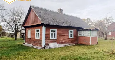 House in Navasiolkauski sielski Saviet, Belarus