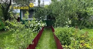 Haus in Papiarnianski sielski Saviet, Belarus