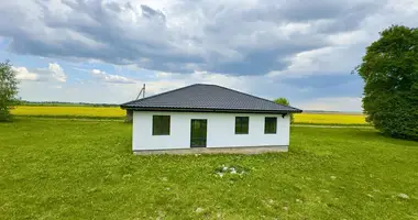 Haus in Dabryniouski sielski Saviet, Belarus
