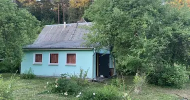 House in Radaskovicki sielski Saviet, Belarus