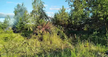 Plot of land in Zodzinski sielski Saviet, Belarus