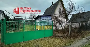 House in Kapciouski sielski Saviet, Belarus