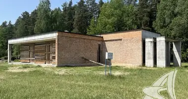 House in Kamianiucki sielski Saviet, Belarus