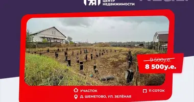 Plot of land in Piekalinski sielski Saviet, Belarus