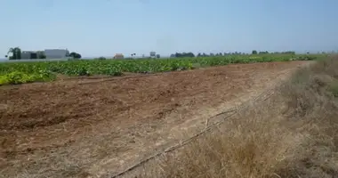 Terrain dans Larnaca, Chypre