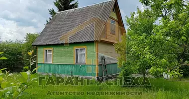 Dom w Znamienski sielski Saviet, Białoruś