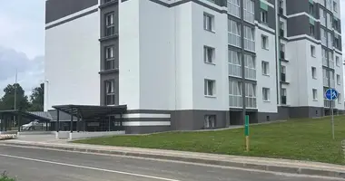 Appartement 1 chambre dans Smaliavitchy, Bélarus