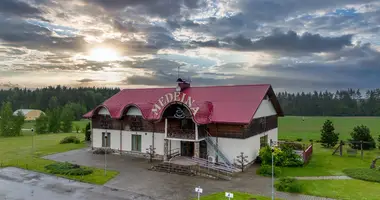 Коммерческое помещение 795 м² в Lazdenai, Литва