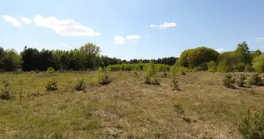 Plot of land in Celejow, Poland