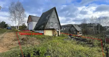 House in Radaskovicki sielski Saviet, Belarus