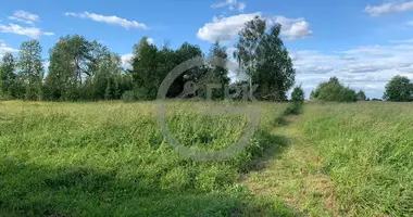 Plot of land in gorodskoe poselenie Zubcov, Russia