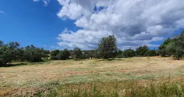 Terrain dans Larnaca, Bases souveraines britanniques