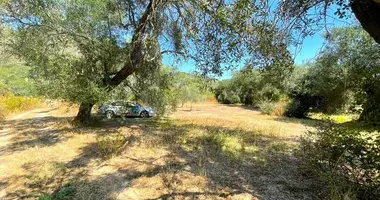 Terrain dans Agios Mattheos, Grèce