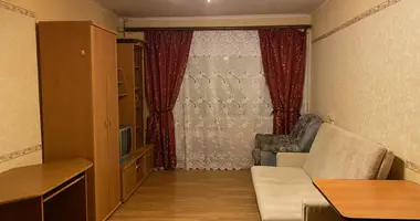 1 room apartment with Furnitured, with Internet, with Fridge in okrug Polyustrovo, Russia