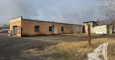 Manufacture 557 m² in Zhabinka, Belarus