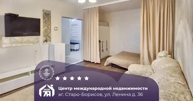 1 room apartment in Starabarysau, Belarus