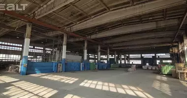 Warehouse 2 365 m² in Biaroza, Belarus