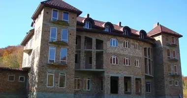 Исторический Гостиничный Проект с Целебным Источником в Слободе в Коломыйский район, Украина