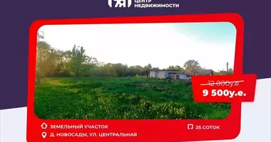 Grundstück in Dziamidavicki sielski Saviet, Weißrussland
