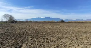 Terrain dans Olympiaki Akti (Plâge), Grèce