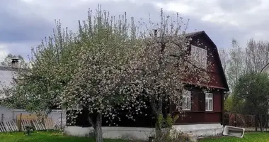 House in Korolev Stan, Belarus