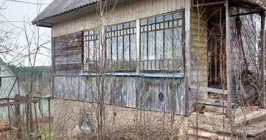 House in Aliachnovicki sielski Saviet, Belarus