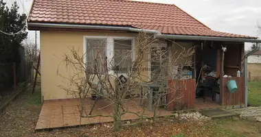 House in Nyiregyhazi jaras, Hungary