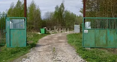 Terrain dans Bor, Fédération de Russie