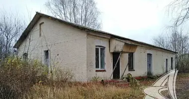 Produktion 204 m² in Pruzanski sielski Saviet, Weißrussland