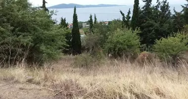 Plot of land in Nea Roda, Greece