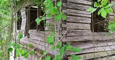 Grundstück in Aliachnovicki sielski Saviet, Weißrussland