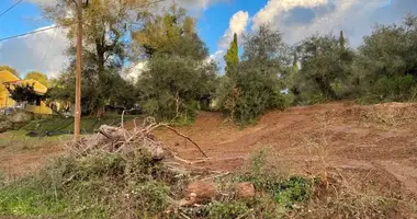 Terrain dans Kastellani, Grèce