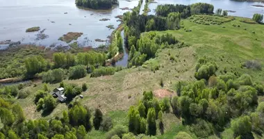 Działka w Grybenai, Litwa
